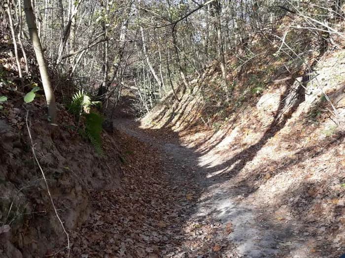 Trasy motocyklowe enduro w Lublinie: odkryj najlepsze szlaki i ich tajemnice